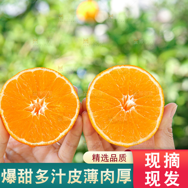 手里拿着爱媛果冻橙