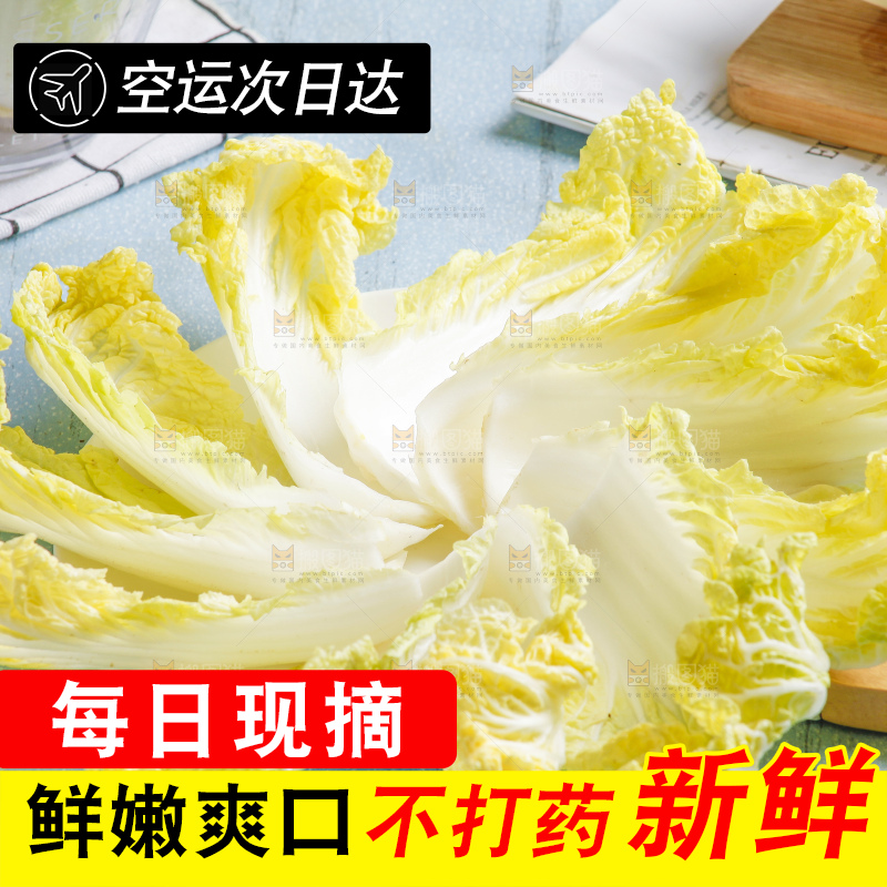 浅底上的娃娃菜