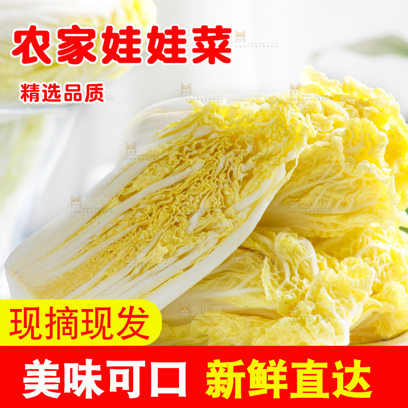 浅底上的娃娃菜