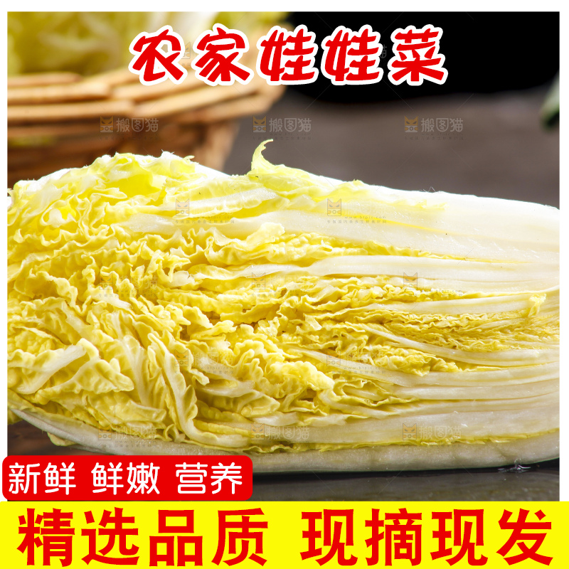 深底上的娃娃菜