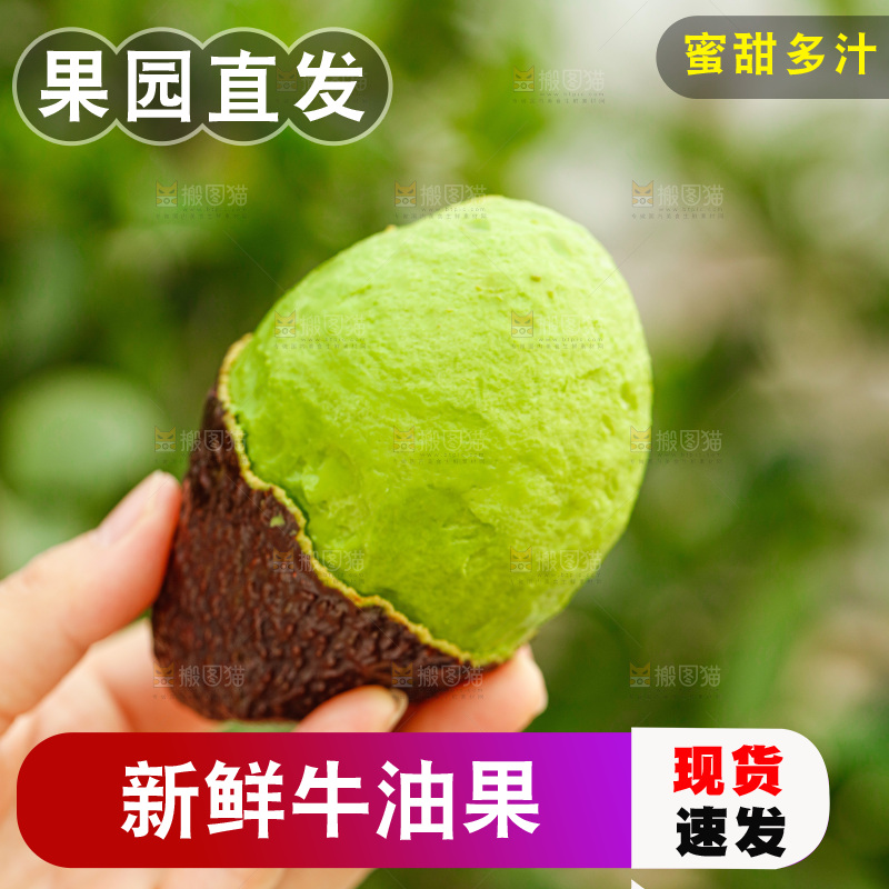 手里拿着巨无霸牛油果