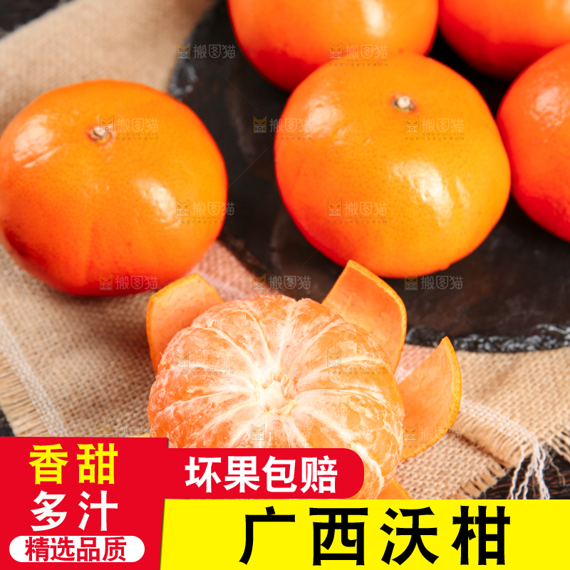 深底上的武鸣沃柑