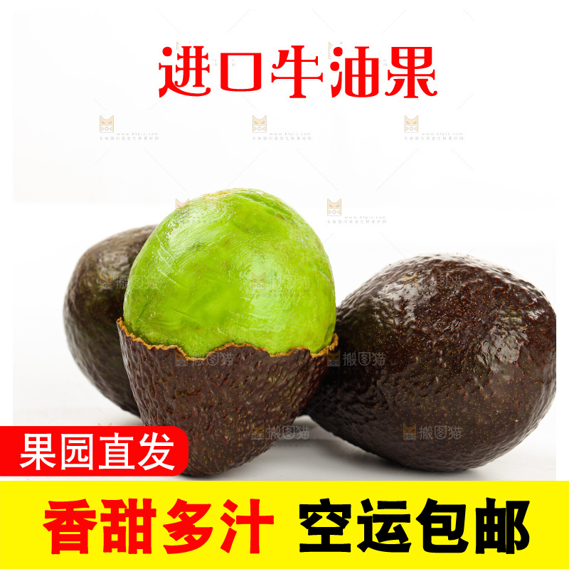 白底上的牛油果