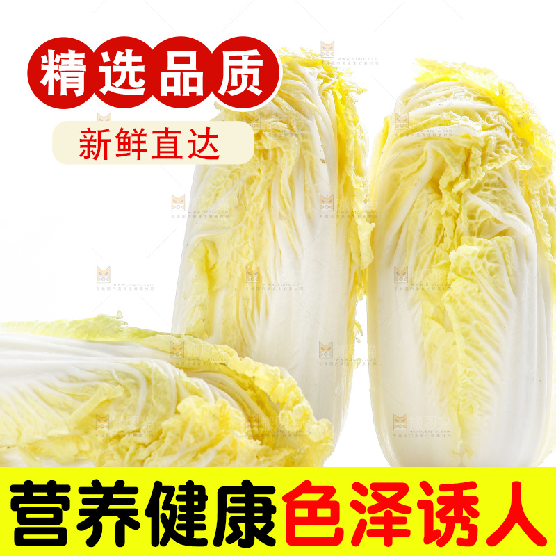 白底上的娃娃菜