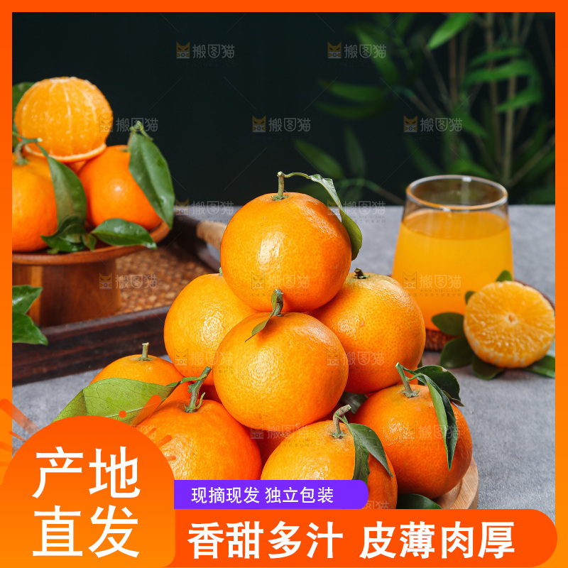 深底上的爱媛果冻橙