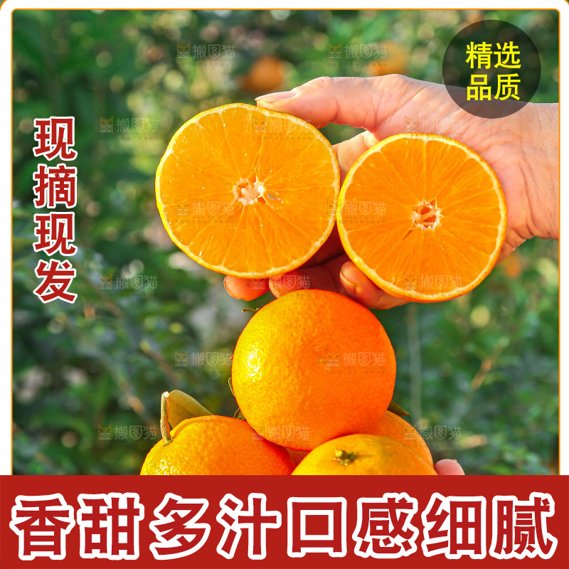 手里拿着爱媛果冻橙