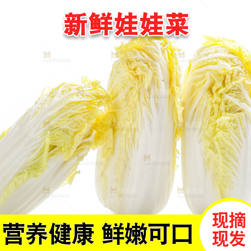 白底上的娃娃菜