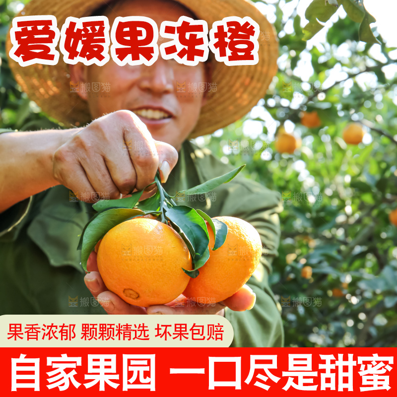 手里拿着爱媛果冻橙