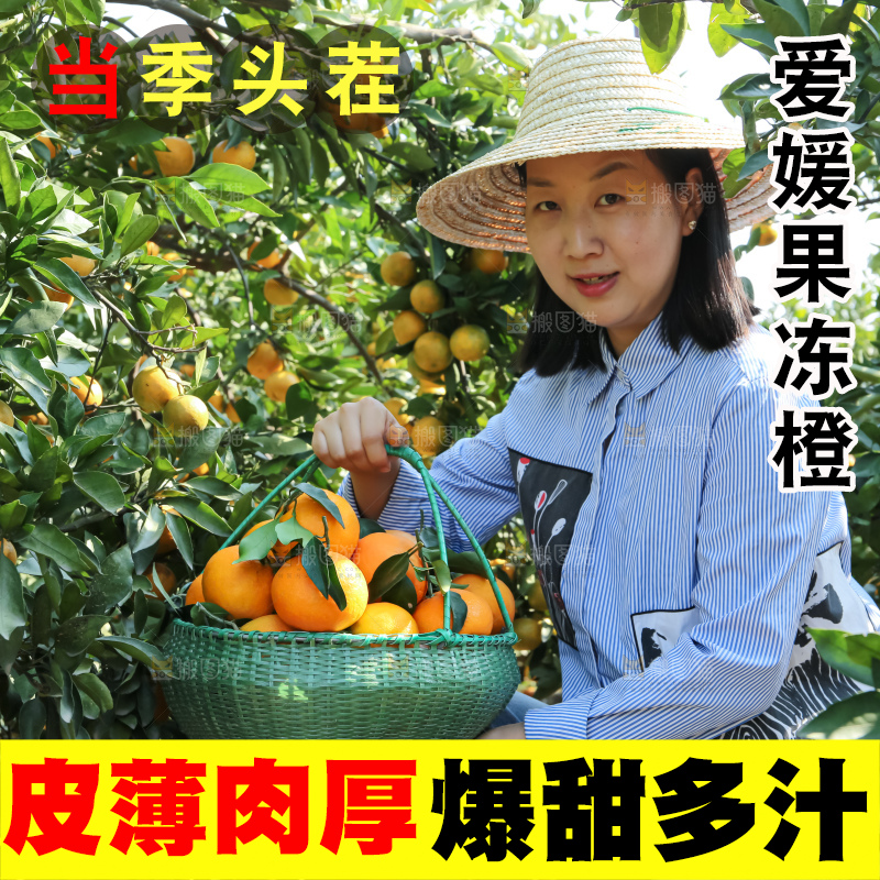 手里拿着爱媛果冻橙