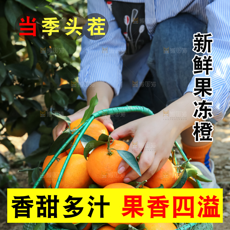 手里拿着爱媛果冻橙