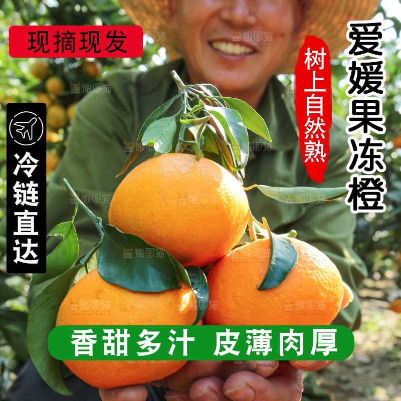 手里拿着爱媛果冻橙