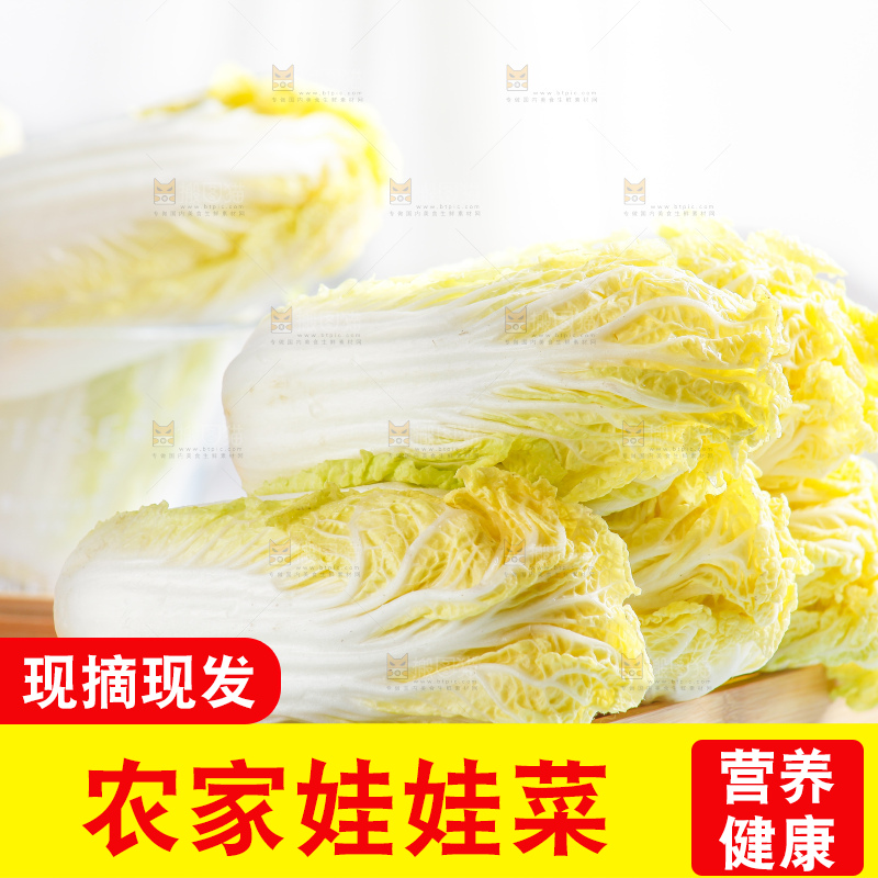 浅底上的娃娃菜