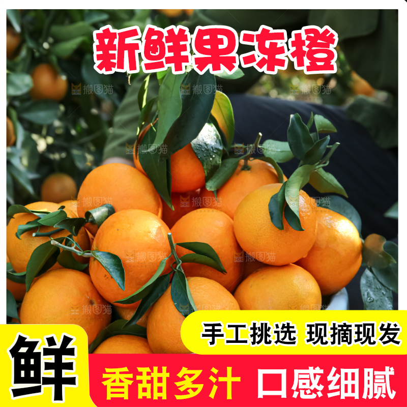 手里拿着爱媛果冻橙