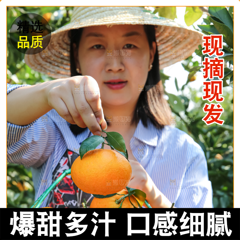 手里拿着爱媛果冻橙