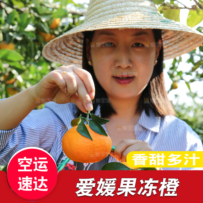 手里拿着爱媛果冻橙