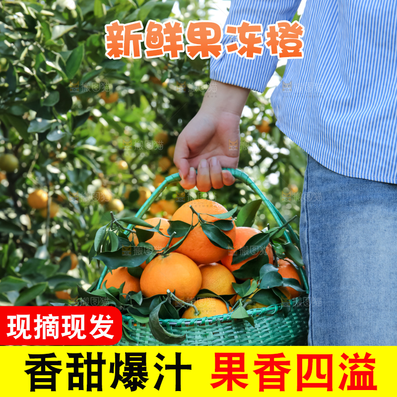 手里拿着爱媛果冻橙