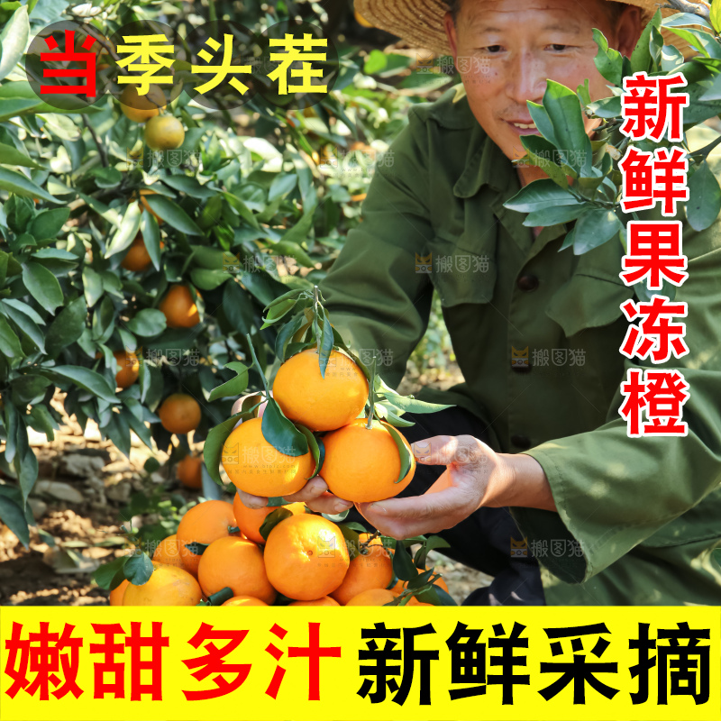 手里拿着爱媛果冻橙