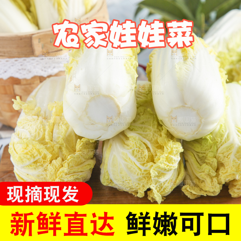 浅底上的娃娃菜