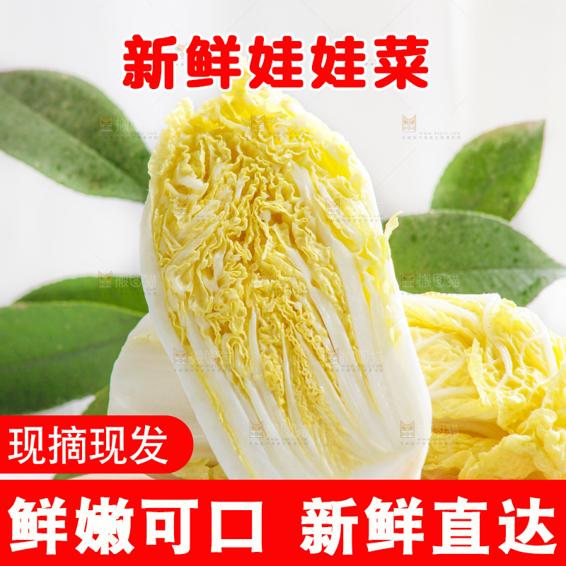 浅底上的娃娃菜