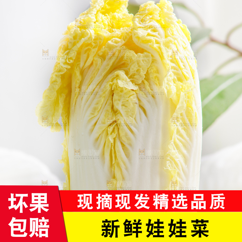 浅底上的娃娃菜