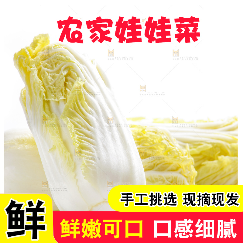 白底上的娃娃菜