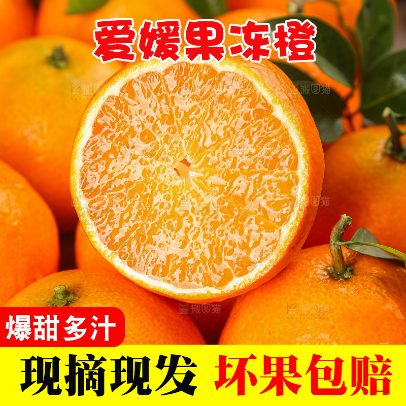 深底上的爱媛果冻橙