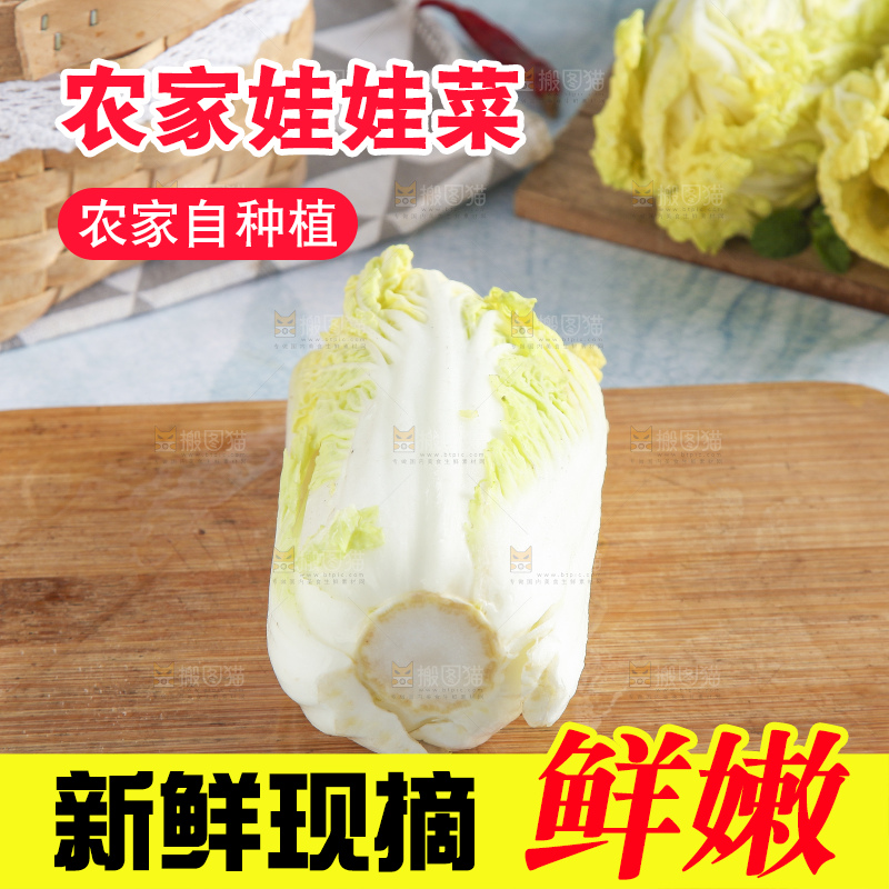 浅底上的娃娃菜