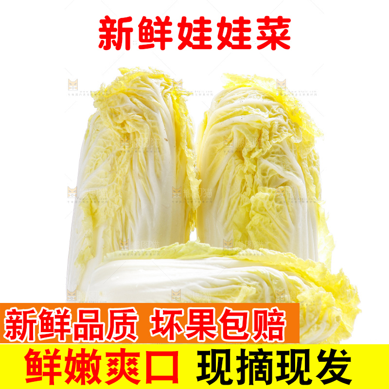 白底上的娃娃菜