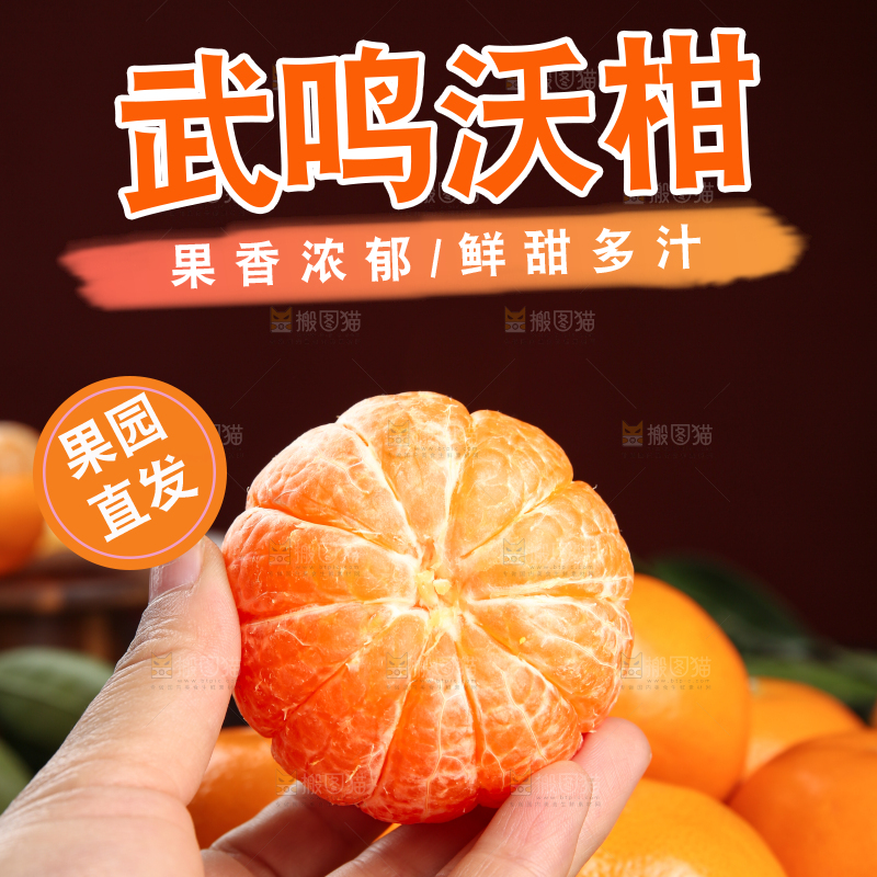 深底上的武鸣沃柑