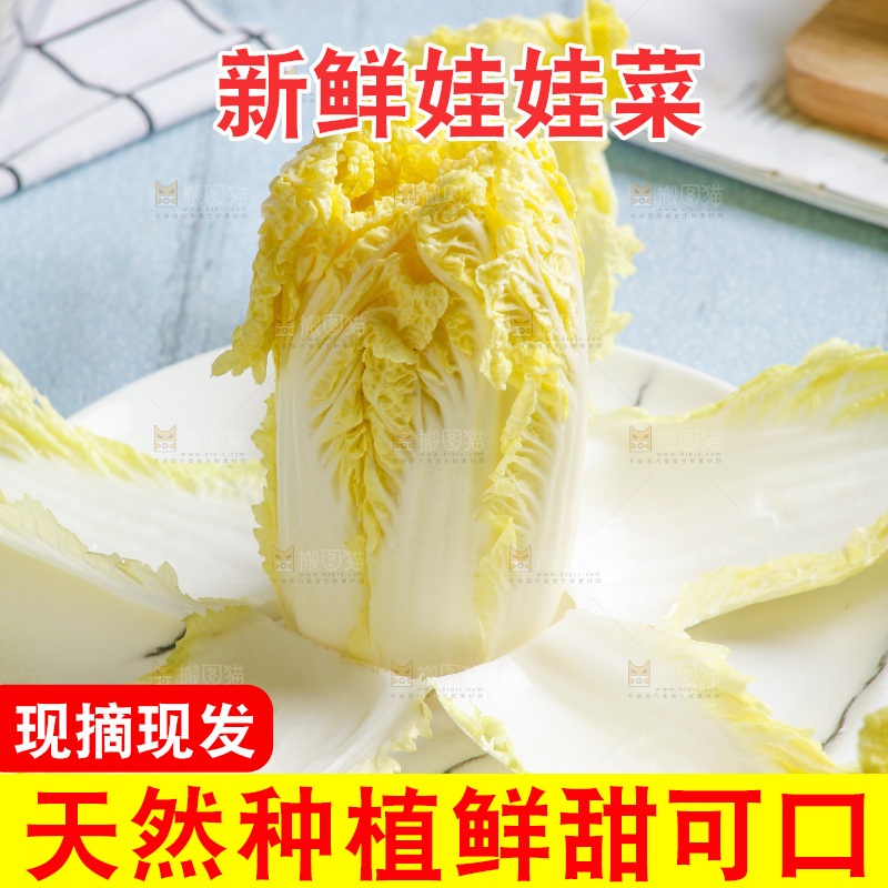 浅底上的娃娃菜