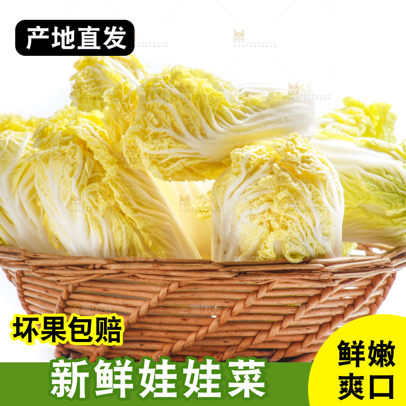 白底上的娃娃菜