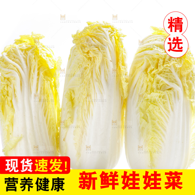 白底上的娃娃菜