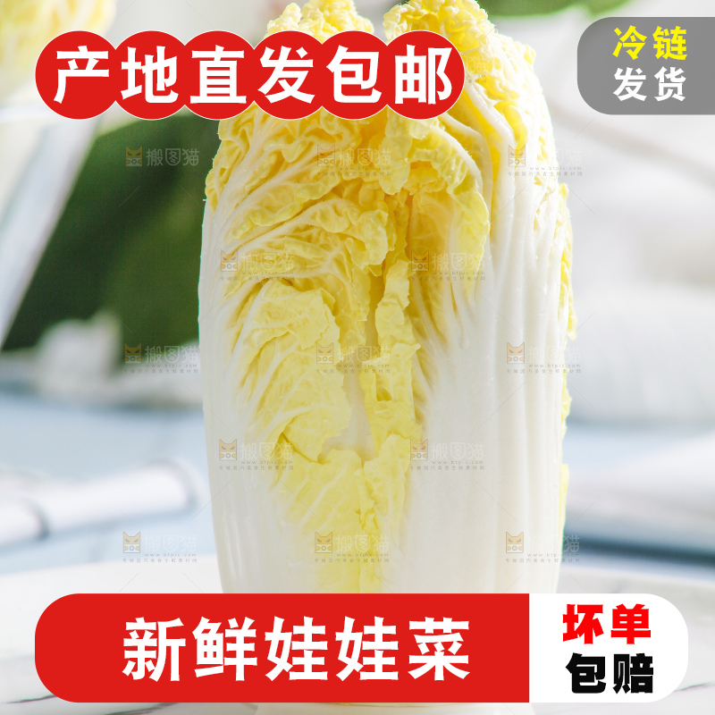 浅底上的娃娃菜