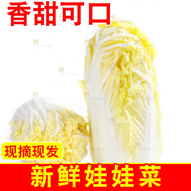 白底上的娃娃菜