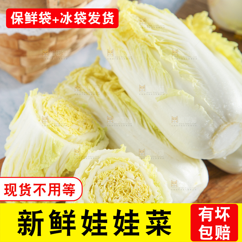 浅底上的娃娃菜