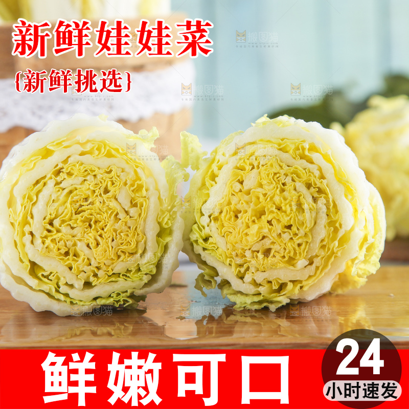 浅底上的娃娃菜