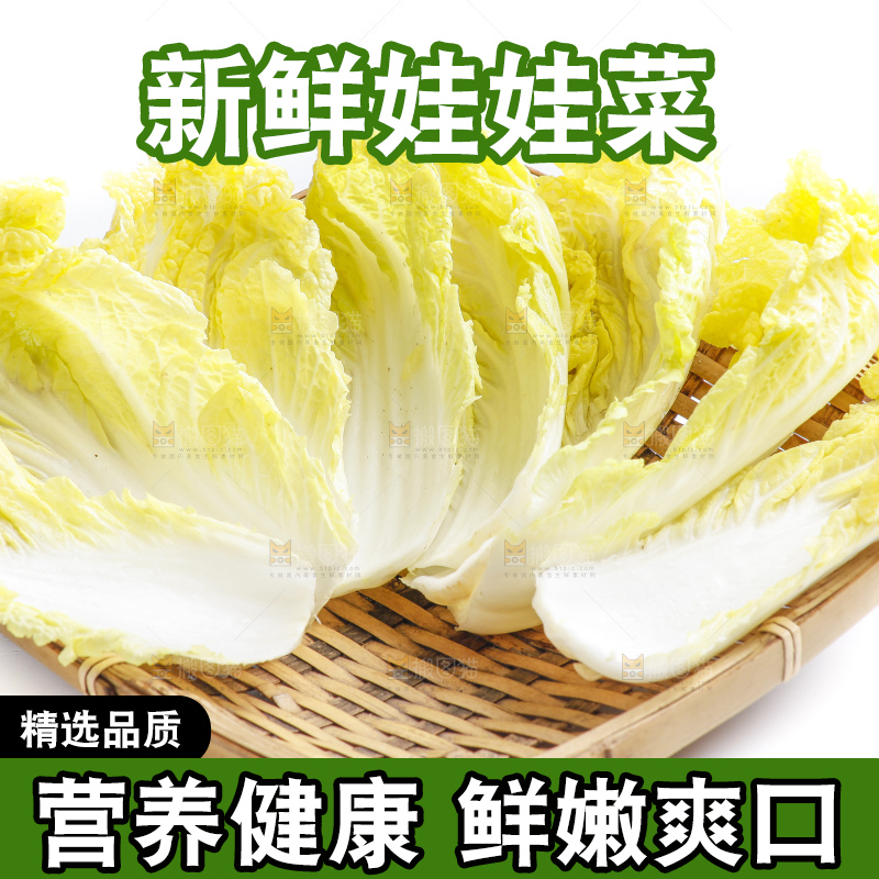 白底上的娃娃菜
