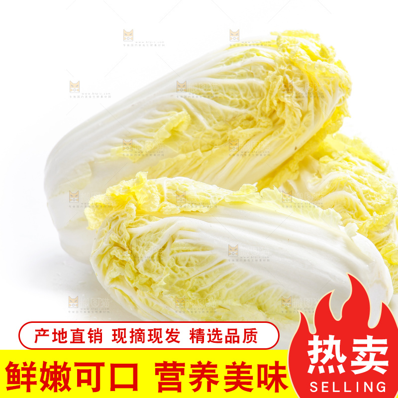 白底上的娃娃菜