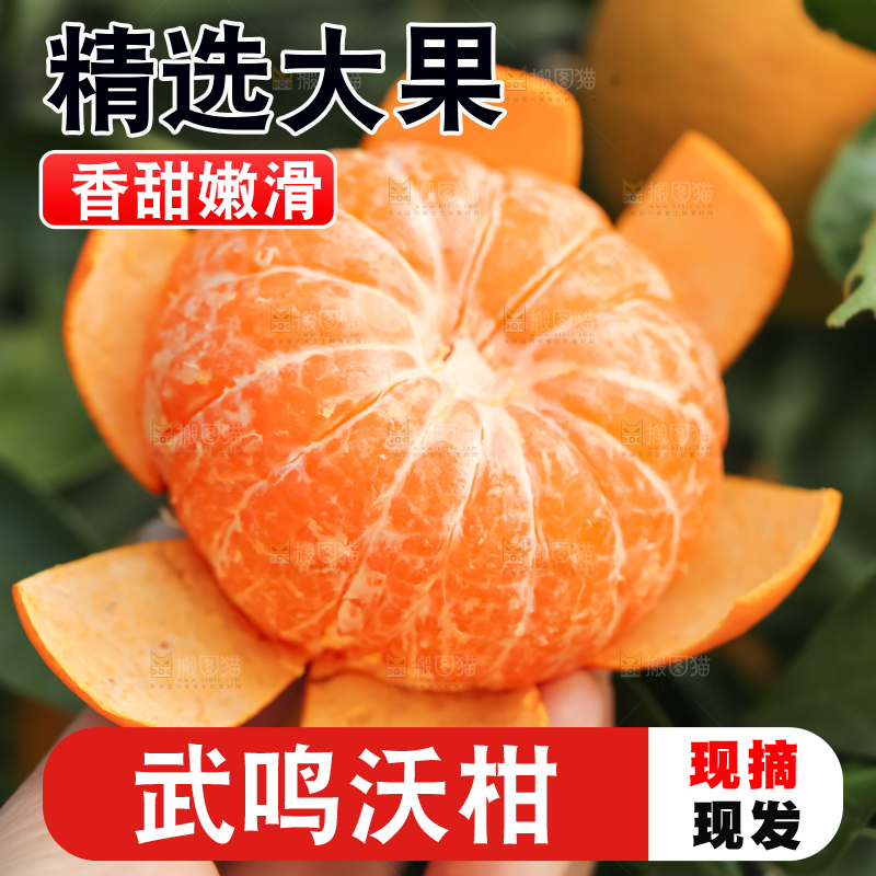 手里拿着新鲜沃柑