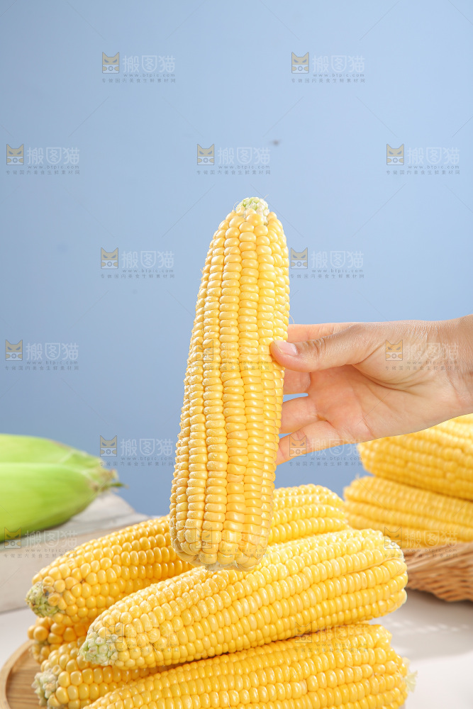 浅底上的黄玉米