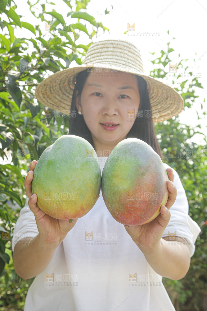 手里拿着新鲜凯特芒