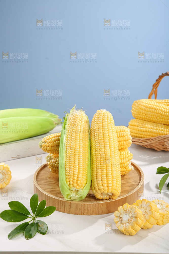 浅底上的黄玉米