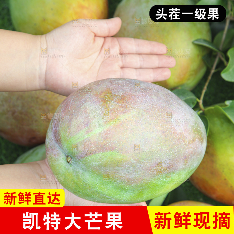 地上放着新鲜凯特芒