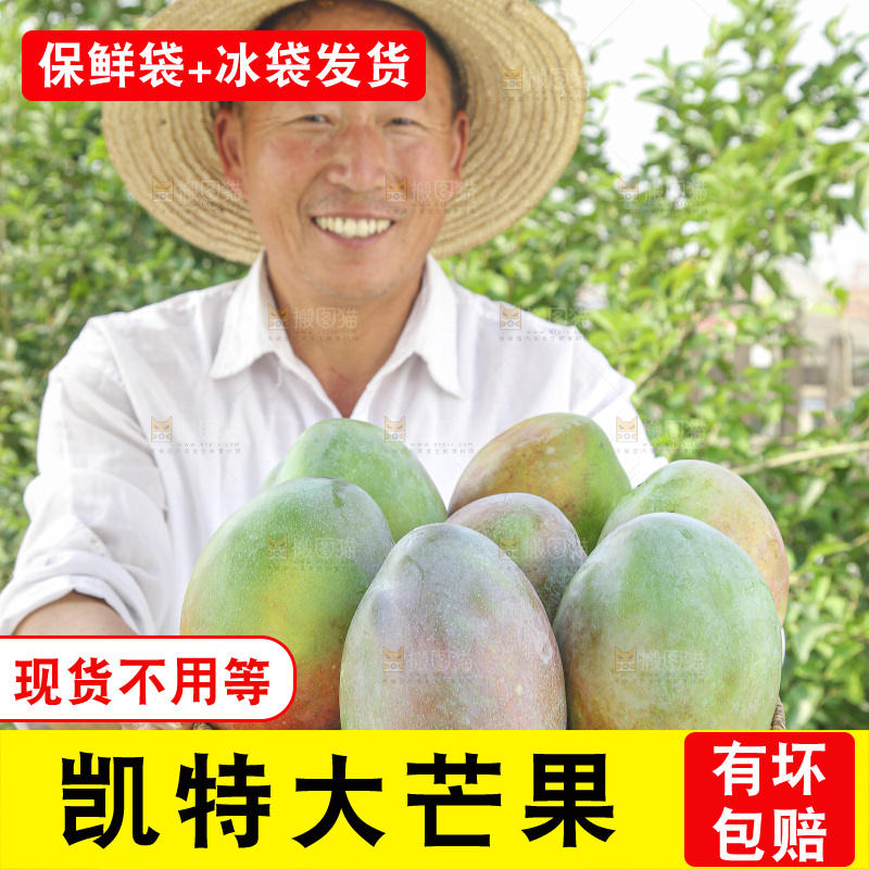 手里拿着新鲜凯特芒