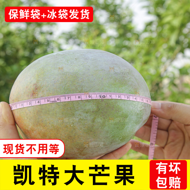手里拿着新鲜凯特芒