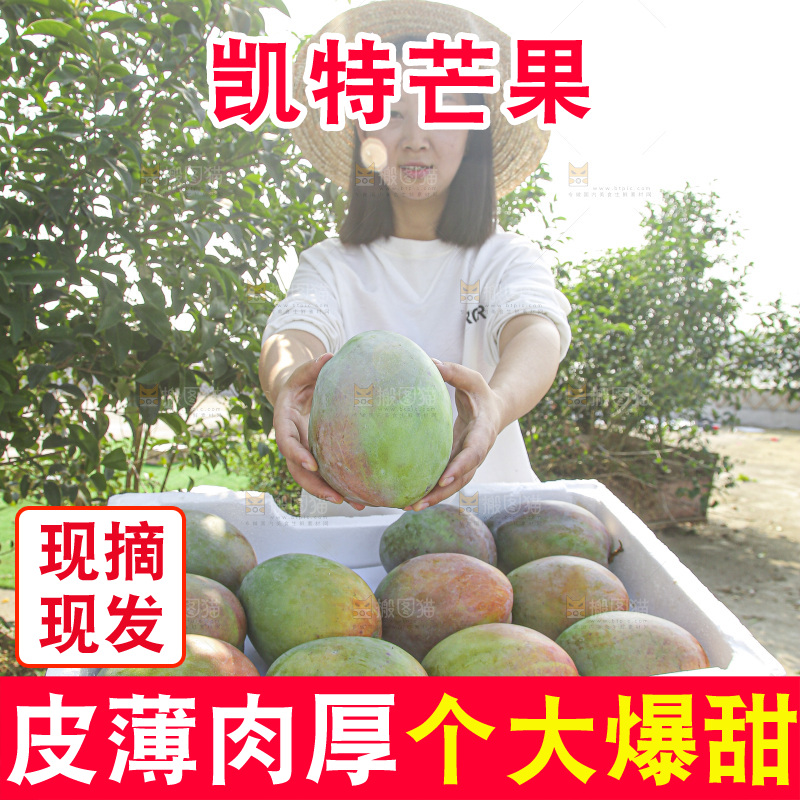 手里拿着新鲜凯特芒