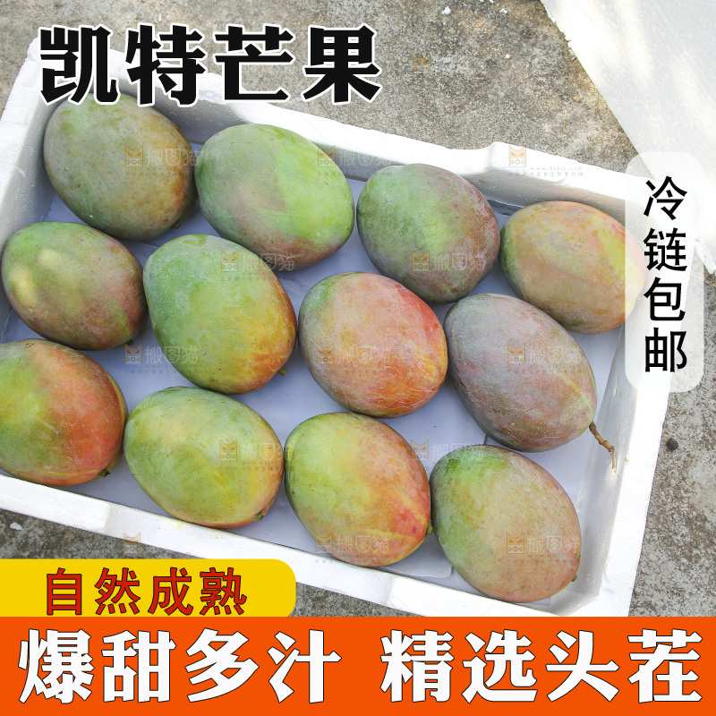 地上放着新鲜凯特芒