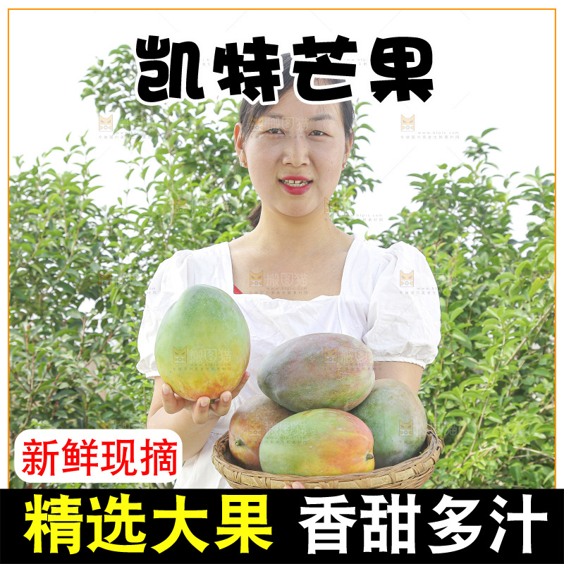 手里拿着新鲜凯特芒