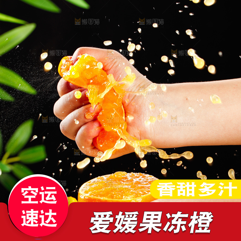 浅底上的爱媛果冻橙
