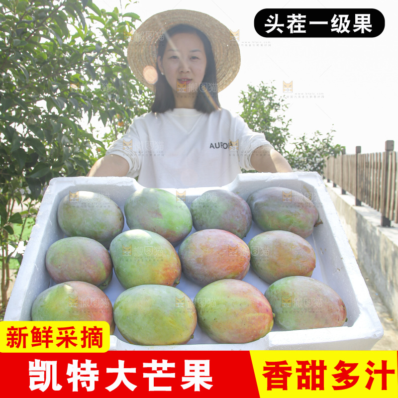 手里拿着新鲜凯特芒